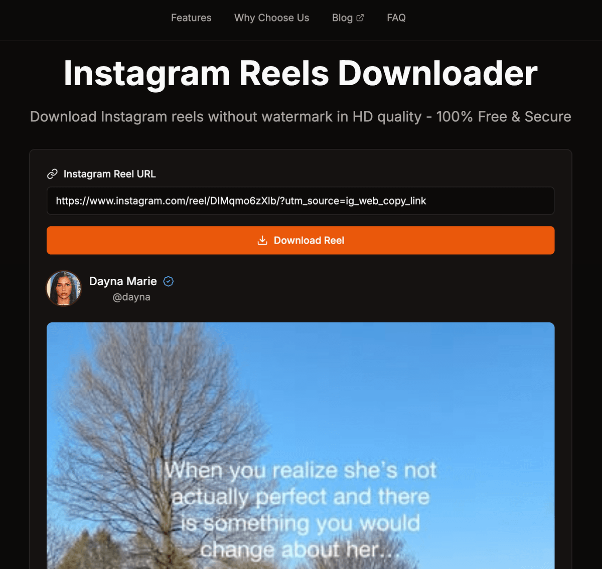 Where to paste Instagram reel link